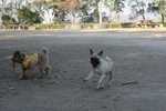 IMG_6084