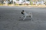 IMG_6085