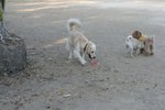 IMG_6089