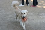 IMG_6091