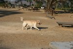 IMG_6094