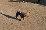 IMG_6095