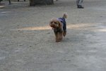 IMG_6097