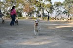 IMG_6099