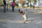IMG_6100