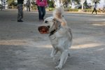 IMG_6101