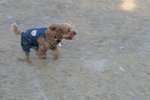 IMG_6104
