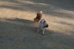 IMG_6105