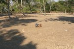 IMG_6106