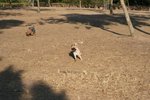 IMG_6107