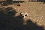 IMG_6108