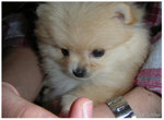 PICT0038