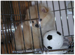 PICT0041