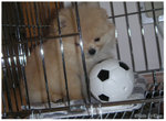 PICT0042