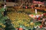 IMG_1894
