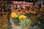 IMG_1895