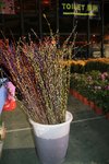 IMG_1898