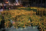 IMG_1903