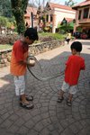 IMG_9254