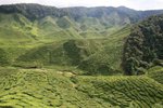 IMG_0624