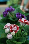 IMG_0640