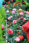 IMG_0654