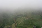IMG_0661