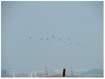 DSCF0583