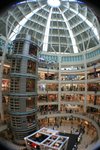 IMG_3296