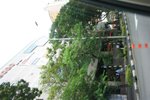 IMG_3315