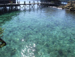 DSCF1352