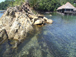 DSCF1357