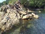 DSCF1361