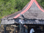 DSCF1364