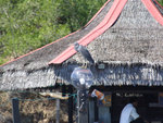 DSCF1365