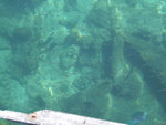 DSCF1372