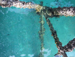 DSCF1461