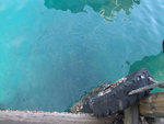 DSCF1462