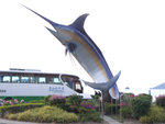 DSCF1472