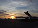 DSCF1475