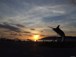 DSCF1477