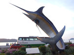 DSCF1479