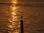DSCF1487