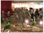 DSCF7606