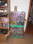 DSCF0553
