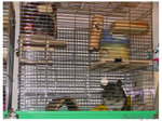 DSCF6275