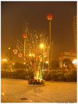 DSCF4513
