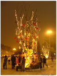 DSCF4515