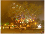 DSCF4521