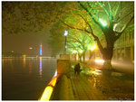 DSCF4546